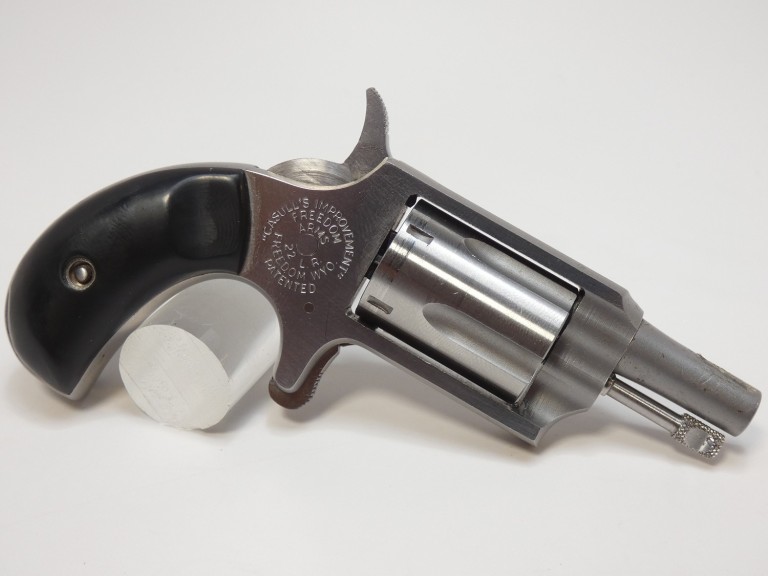 Freedom Arms Belt Buckle/Revolver Combination FAS22LR D4 Guns