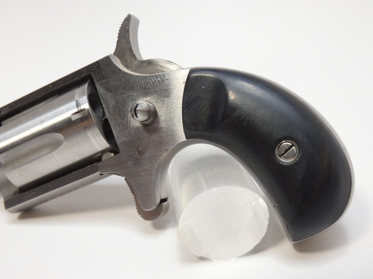 Freedom Arms Belt Buckle/Revolver Combination FAS22LR D4 Guns